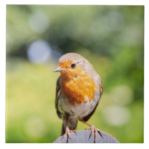 Summer Robin Ceramic Tile