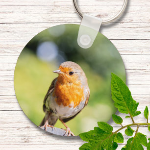 Summer Robin Key Ring