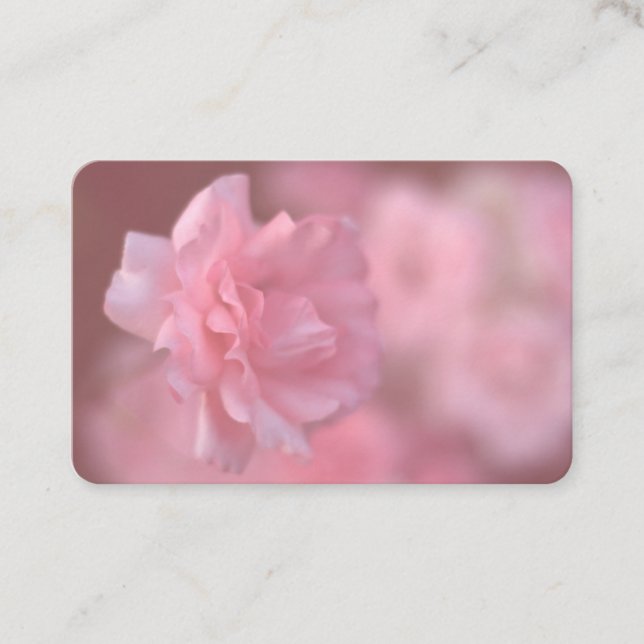 Summer Rose business card (Front)
