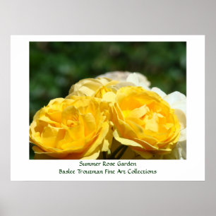 Summer Rose Garden art prints Yellow Rose Flowers