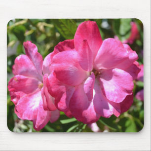 Summer Roses Mouse Pad