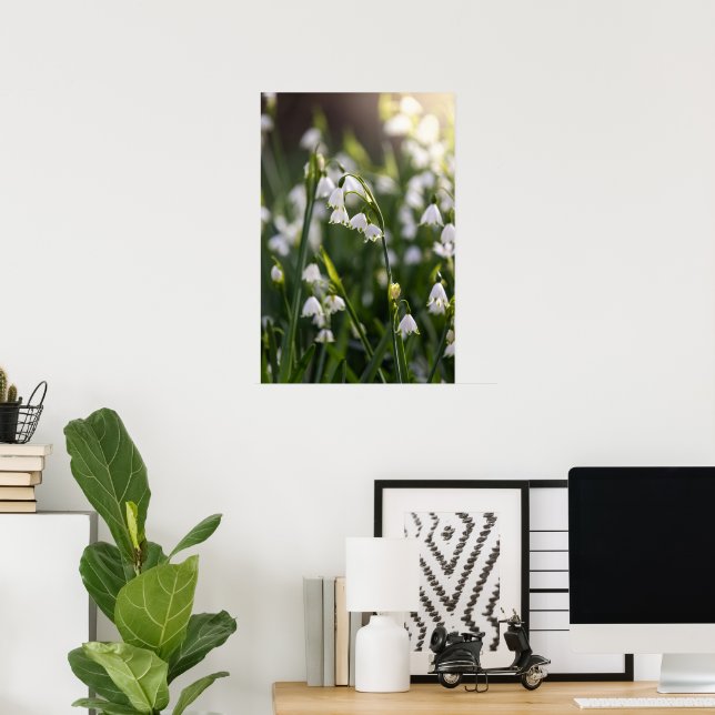 Summer Snowflake white flowers Poster (Home Office)