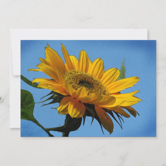 Summer Solstice Party Invitation (Front)