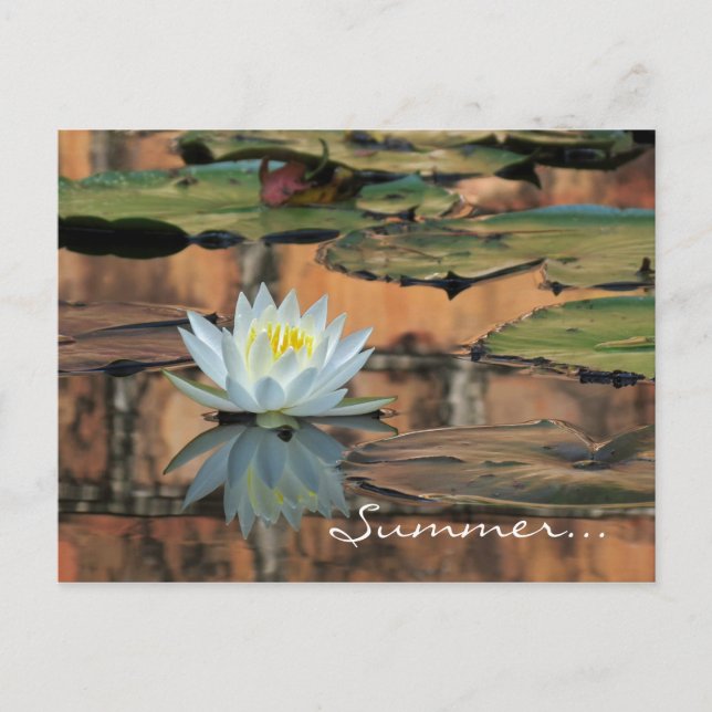 Summer Solstice Party Invitation Postcard (Front)