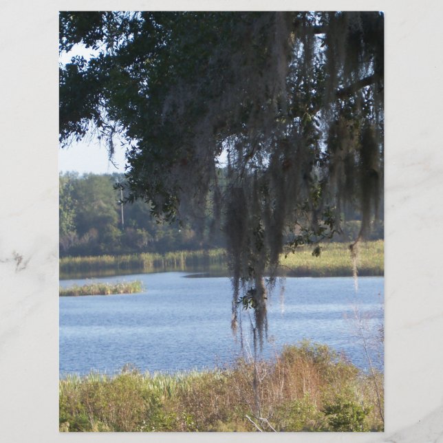 Summer southern lake reflections (Front)