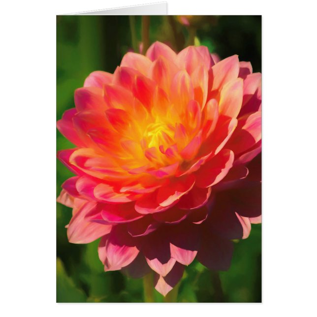 Summer Spectacle (Front)