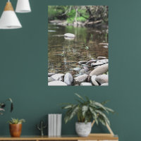 Summer Stream Photo Calm Peaceful Scene
