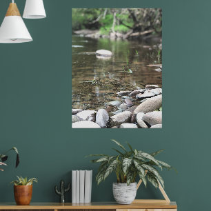 Summer Stream Photo Calm Peaceful Scene  Poster