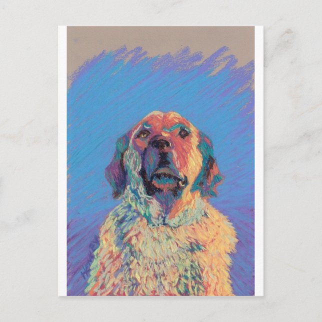 Summer Sun Postcard (Front)