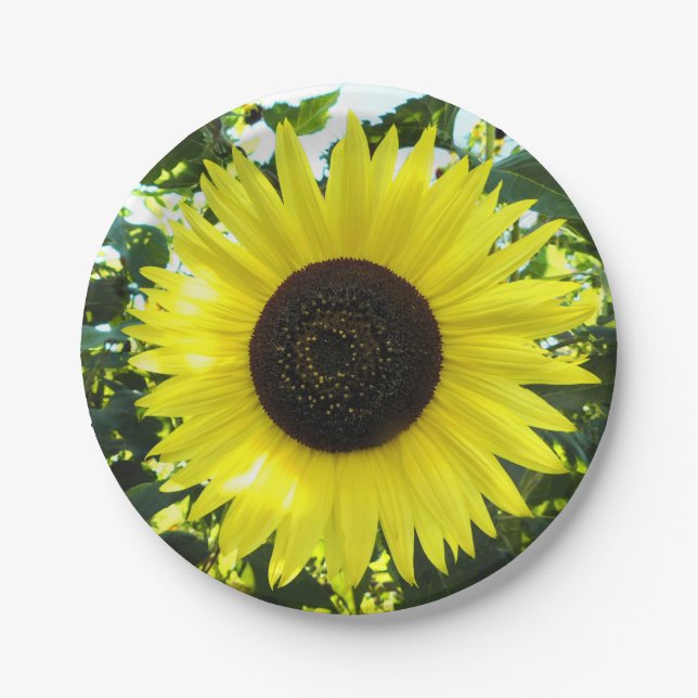 Summer Sunflower Paper Plate (Front)