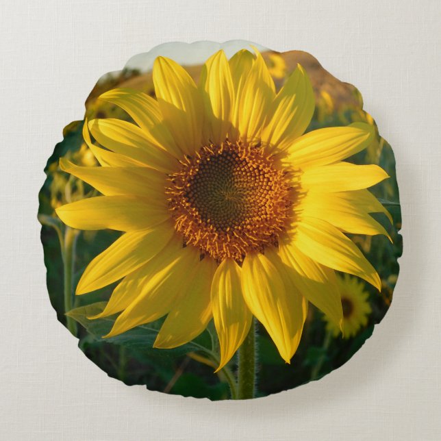 Summer Sunflower Round Pillow (Front)