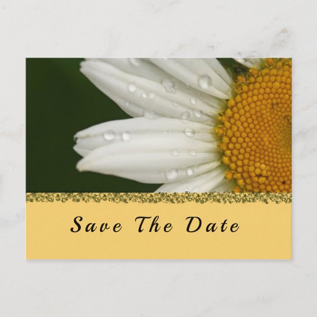 Summer Sunflower Save the Date Postcard (Front)