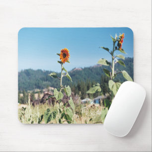 Summer Sunflowers........ Mouse Pad