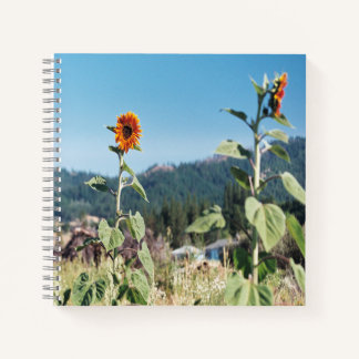 Summer Sunflowers...... Notebook
