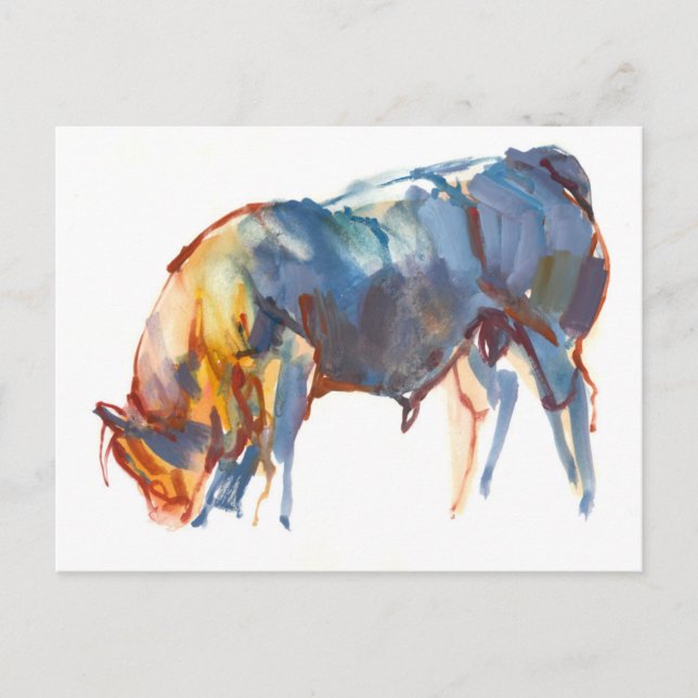 Summer Sunset 2010 Postcard (Front)