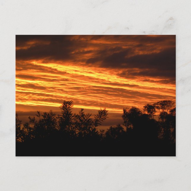 Summer sunset in Canberra Postcard (Front)