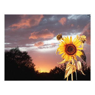 SUMMER SUNSET PHOTO PRINT