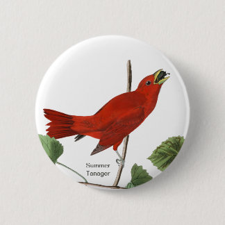 Summer Tanager, Audubon Red Bird, Birdwatcher Bird 6 Cm Round Badge