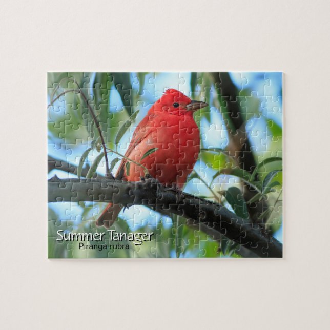 Summer Tanager Bird Jigsaw Puzzle (Horizontal)