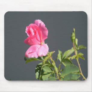 Summer Time Love... Mouse Pad
