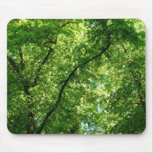 Summer Trees II Mouse Pad