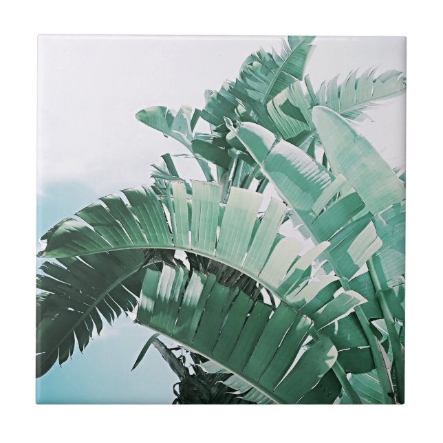 Summer Vibes Banana Leaves Pale Green Ceramic Tile (Front)