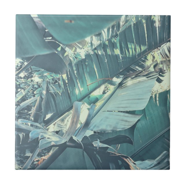 Summer Vibes Banana Tree Leaves Pale Green Ceramic Tile (Front)