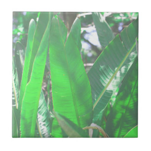 Summer Vibes Banana Tree Leaves Pale Green Pastel Ceramic Tile