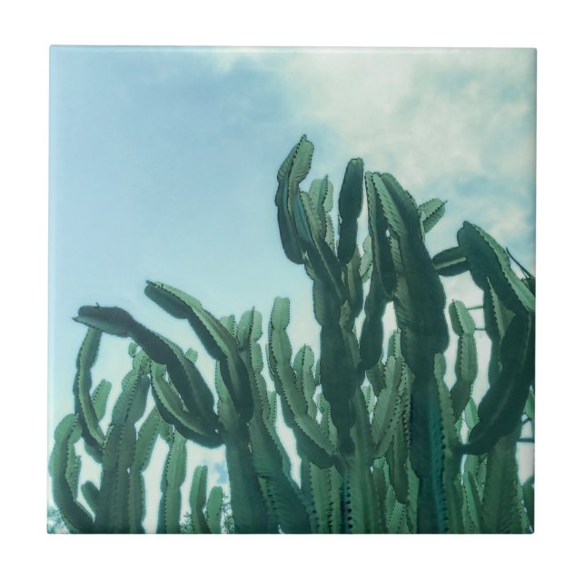 Summer Vibes Palm Tree Cactus Pale Green Ceramic Tile (Front)