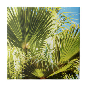 Summer Vibes Palm Tree Leaves Pale Green Ceramic Tile