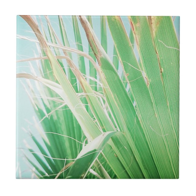 Summer Vibes Palm Tree Leaves Pale Green Ceramic Tile (Front)