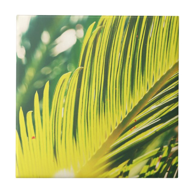 Summer Vibes Palm Tree Leaves Pale Green Ceramic Tile (Front)