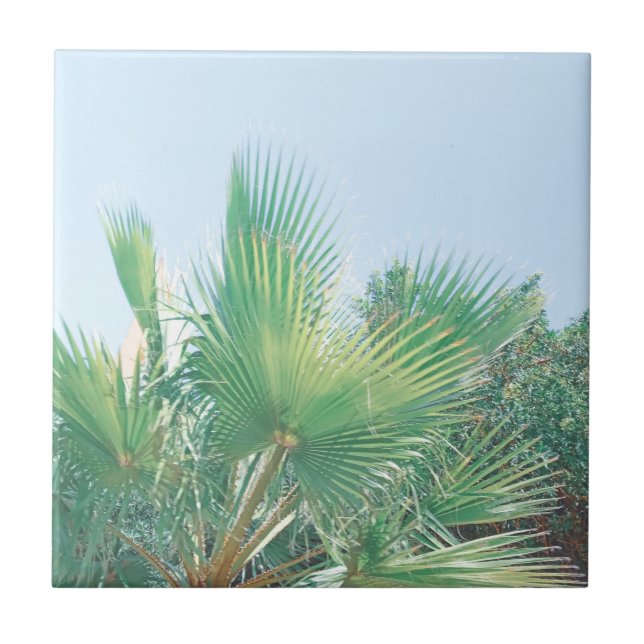 Summer Vibes Palm Tree Leaves Pale Green Ceramic Tile (Front)
