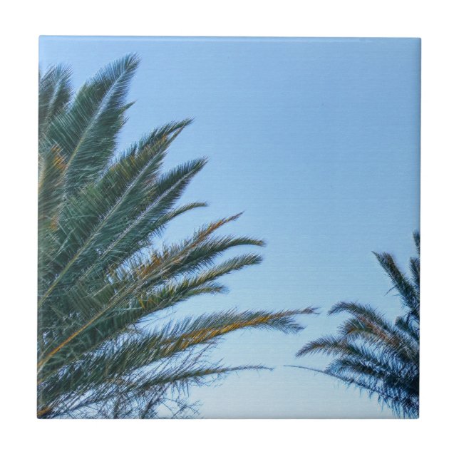 Summer Vibes Palm Tree Leaves Pale Green Ceramic Tile (Front)
