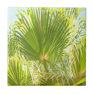 Summer Vibes Palm Tree Leaves Pale Green Ceramic Tile
