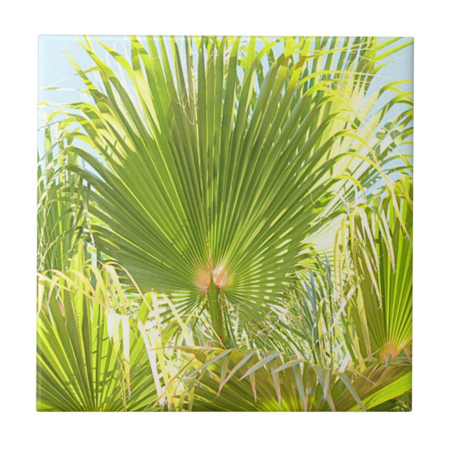 Summer Vibes Palm Tree Leaves Pale Green Ceramic Tile (Front)