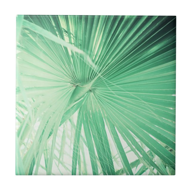 Summer Vibes Palm Tree Leaves Pale Green Ceramic Tile (Front)