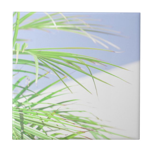 Summer Vibes Palm Tree Leaves Pale Green Pastel Ceramic Tile (Front)