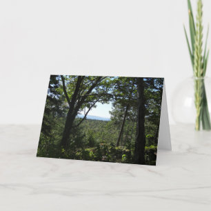 Summer View in Acadia National Park Card