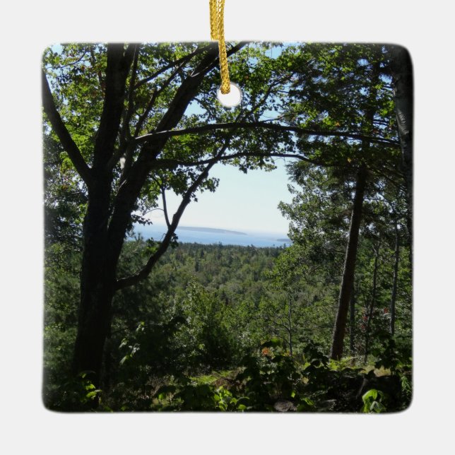 Summer View in Acadia National Park Ceramic Ornament (Front)