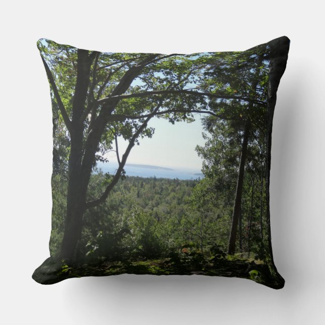 Summer View in Acadia National Park Cushion (Front)