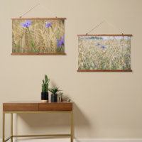 Summer wheat field with blue cornflowers