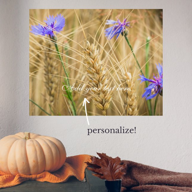 Summer wheat field with blue cornflowers poster (Creator Uploaded)
