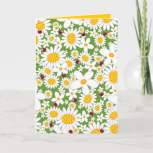 Summer White Daisies and Red Ladybugs Whimsical Card