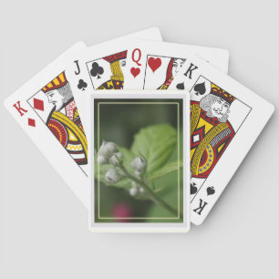 summer wild raspberry flower buds playing cards