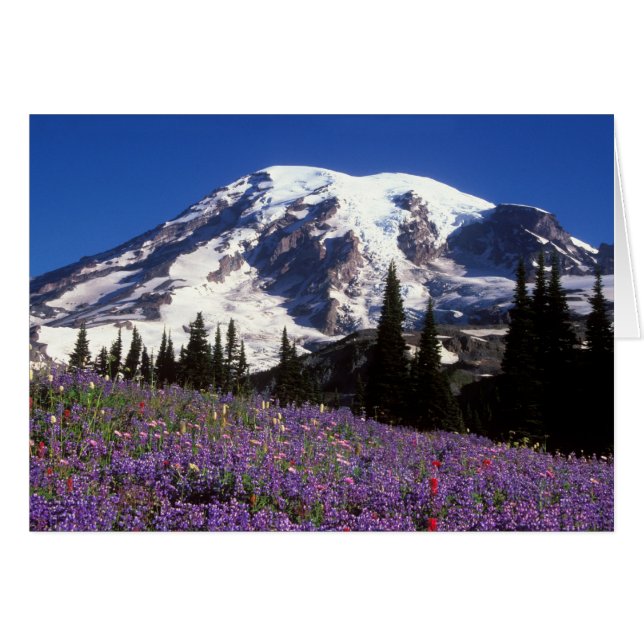 summer wildflowers at the base of Mount Rainier, 2 (Front Horizontal)