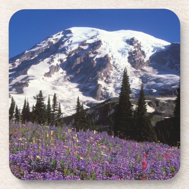 summer wildflowers at the base of Mount Rainier, 2 Coaster (Front)