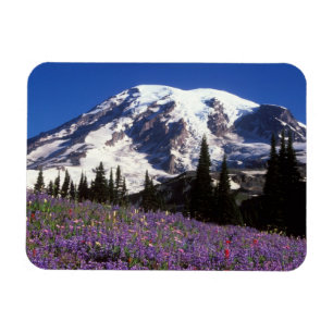 summer wildflowers at the base of Mount Rainier, 2 Magnet
