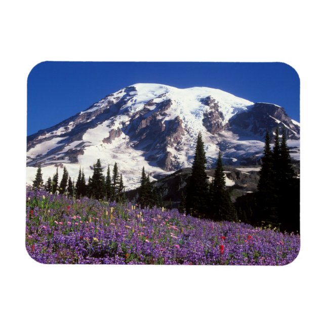 summer wildflowers at the base of Mount Rainier, 2 Magnet (Horizontal)