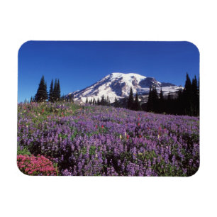 summer wildflowers at the base of Mount Rainier, Magnet